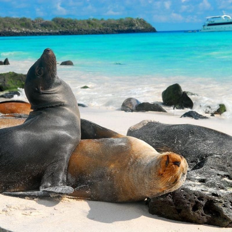 islas-galapagos-ecuador-.jpg